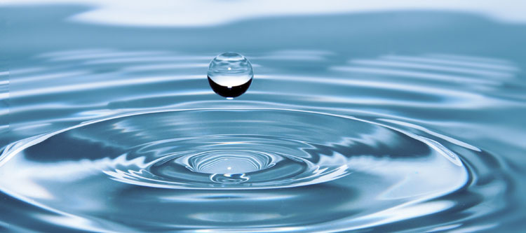 Importance of Water Quality for Reprocessing Medical Devices